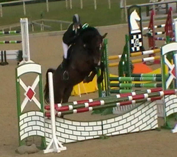 Show Jumping Marchington British Novice Arturos Whisker                                                                                                                                                                                                        